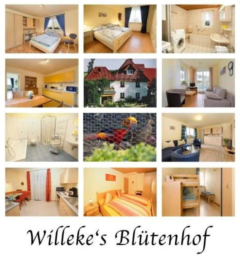 Willekes Blütenhof