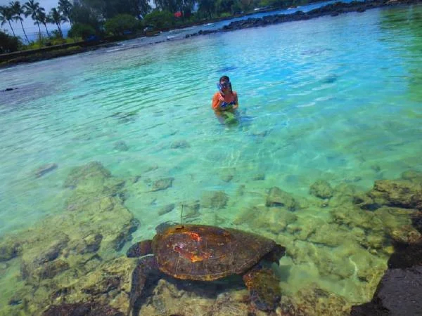 Maureens Bed and Breakfast