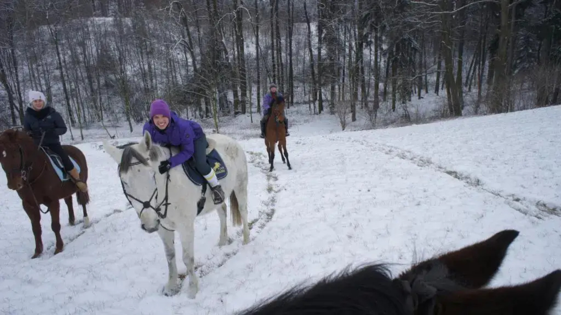 Piotrowice Nyskie Palace