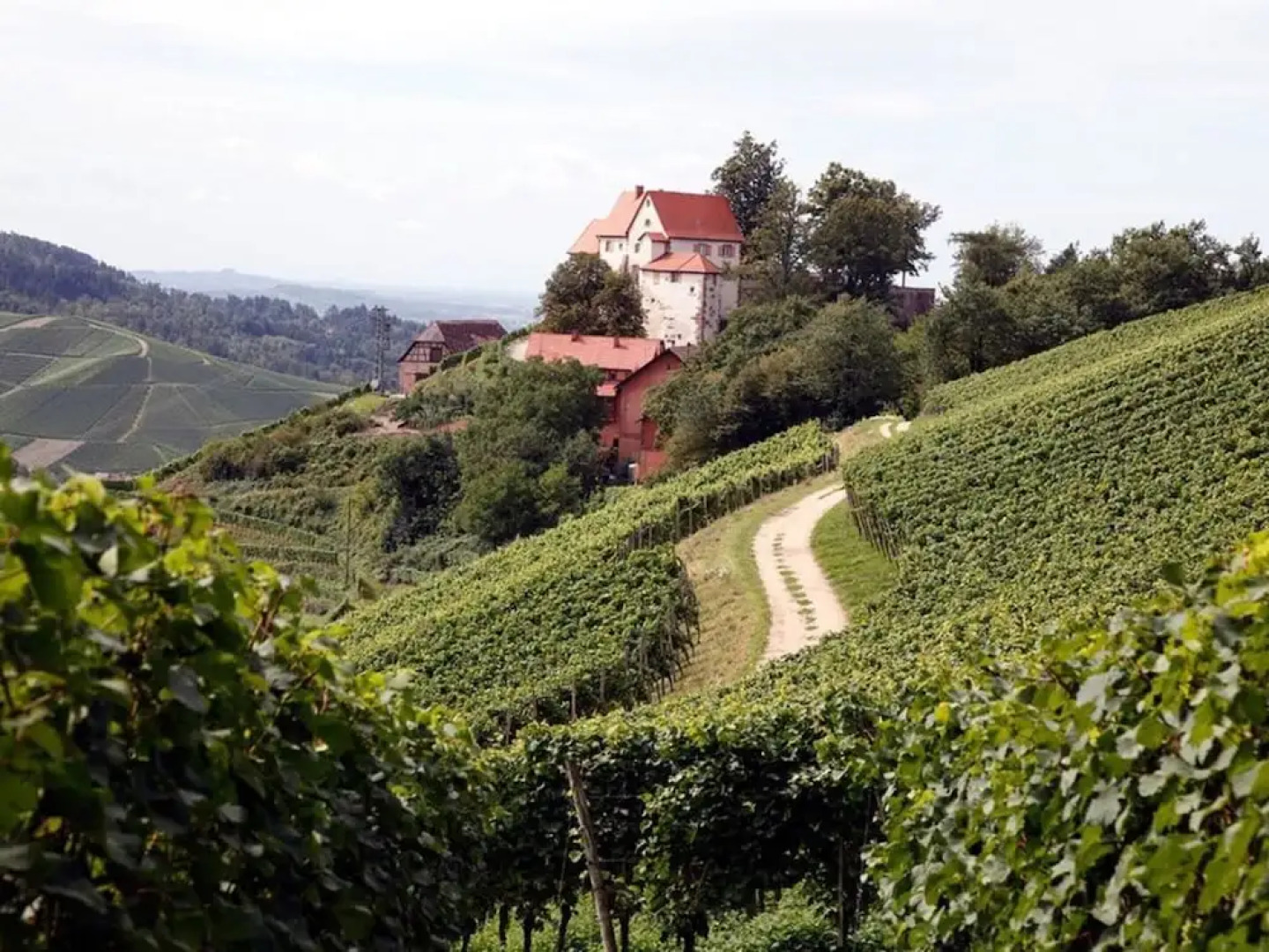 Apartment in Oberkirch