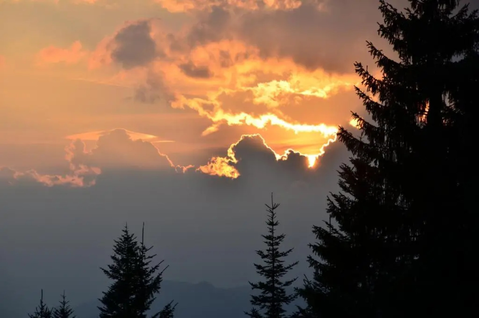 Berggasthof Sonnenalm