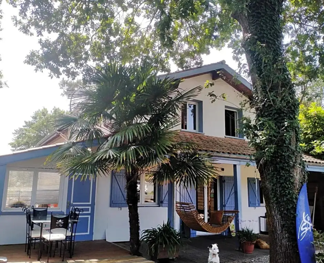 Shifting Sands Surf Camp