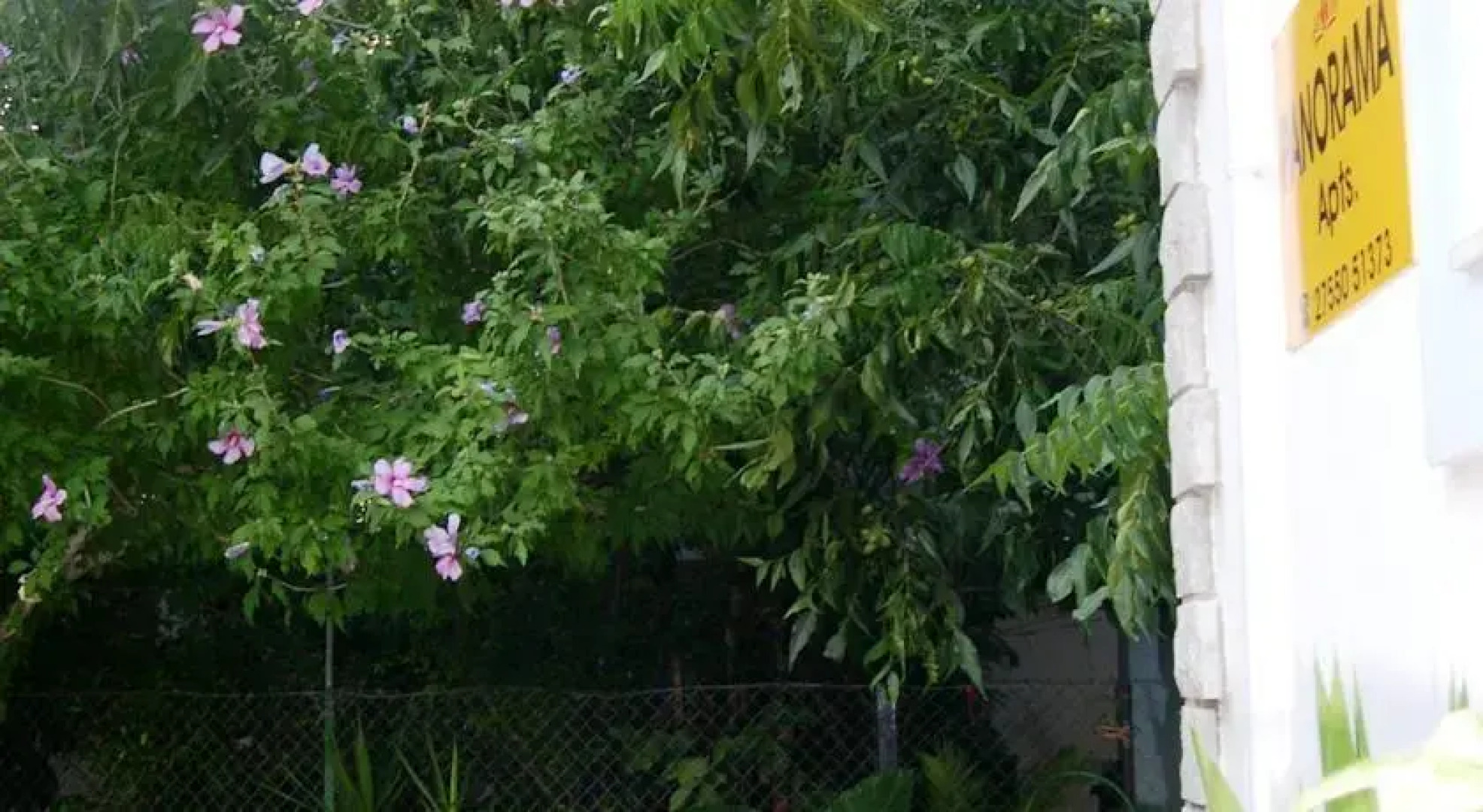 Panorama Paralio Astros Arkadias