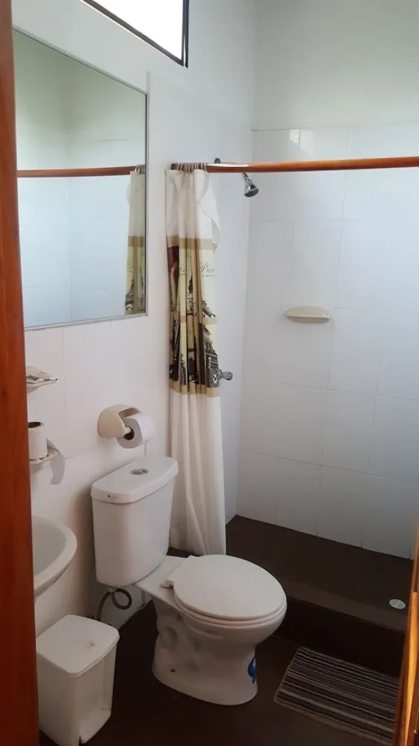 Galapagos Morning Glory