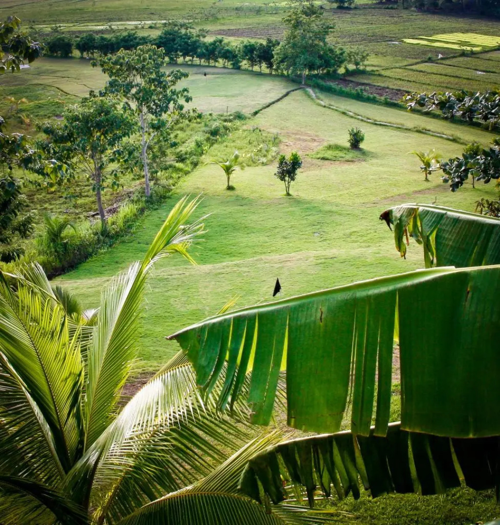 Maya Siargao Villa and Golf