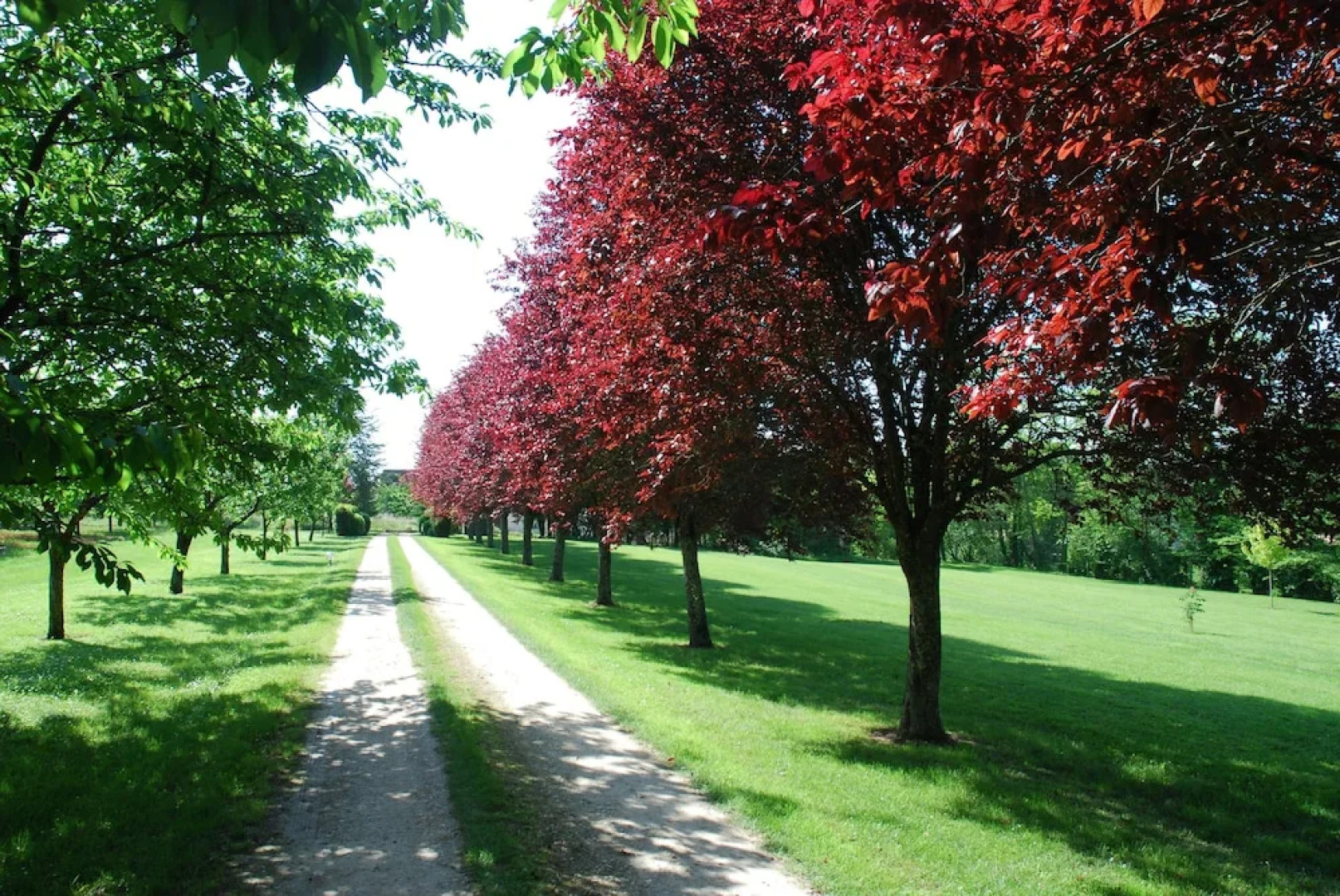 La Chartreuse du Bignac