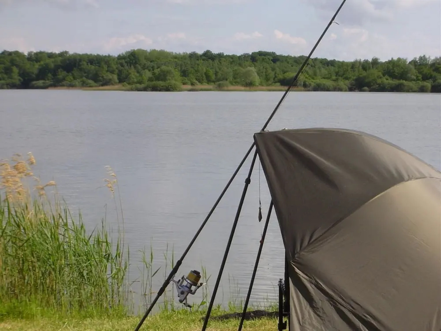 Gite Insolite "La Roulotte des Elfes", Au Milieu de Nulle Part