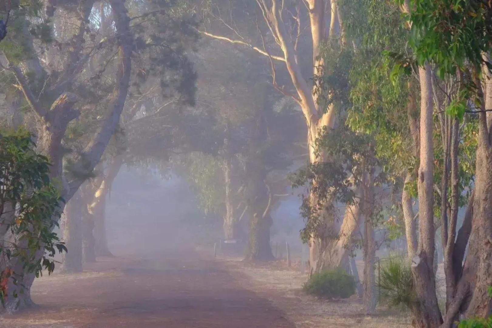 Seaview and Spa at Torbay