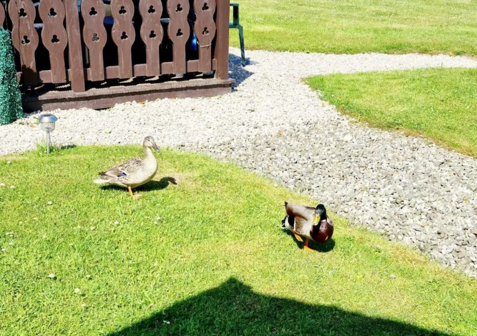 Fenna Lakeside Lodge - Pine Lake Resort