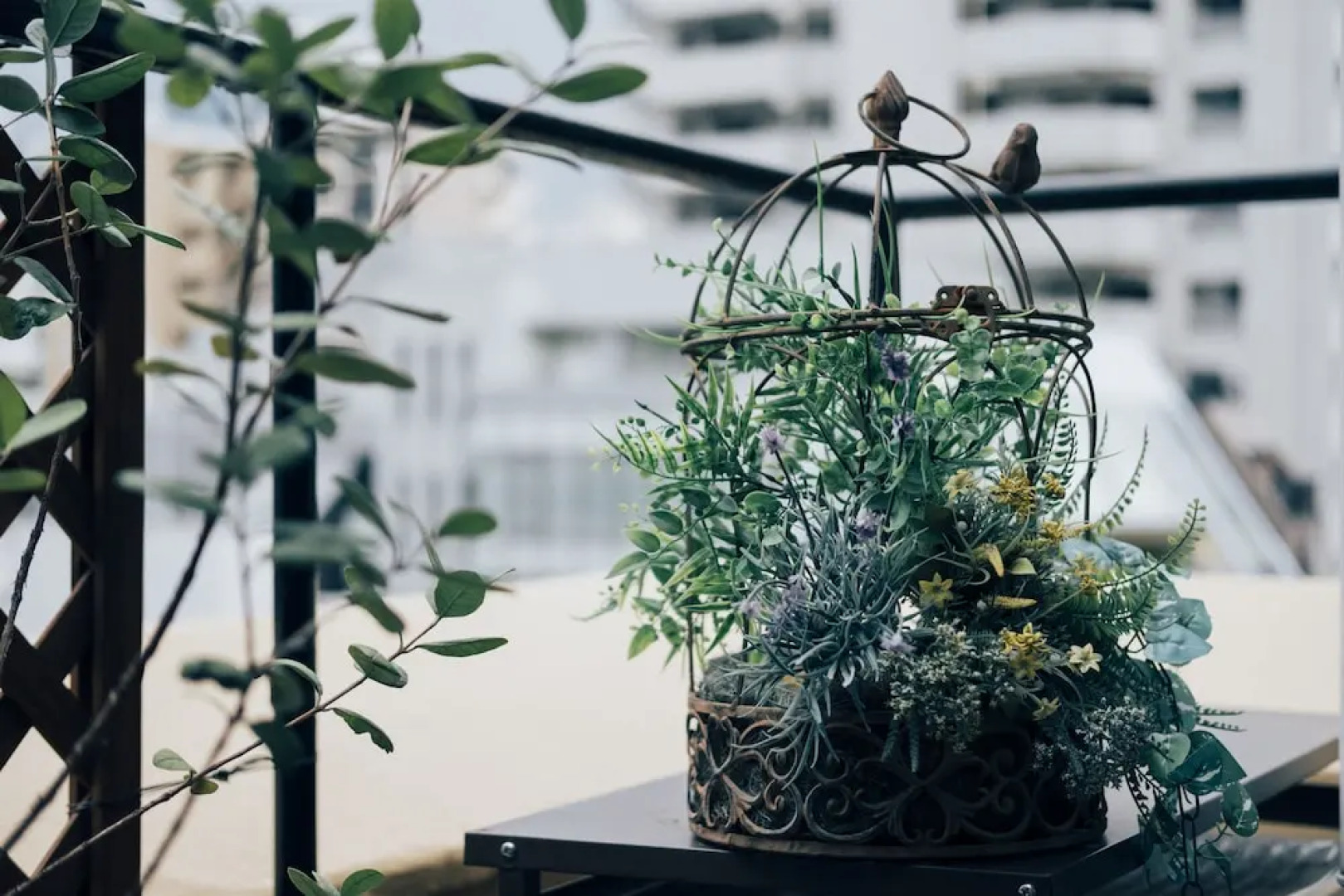 sakura la an - Hostel