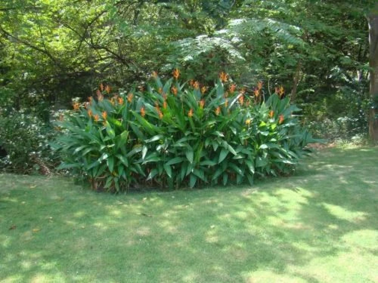 Casa Brisa del Estero