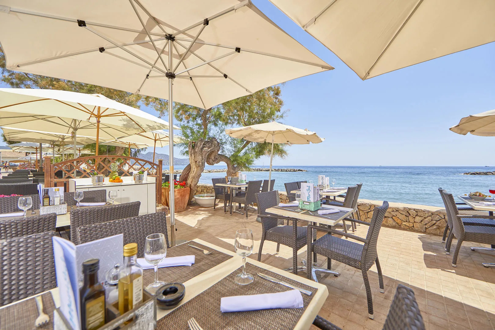 Hotel Ilusion Moreyo