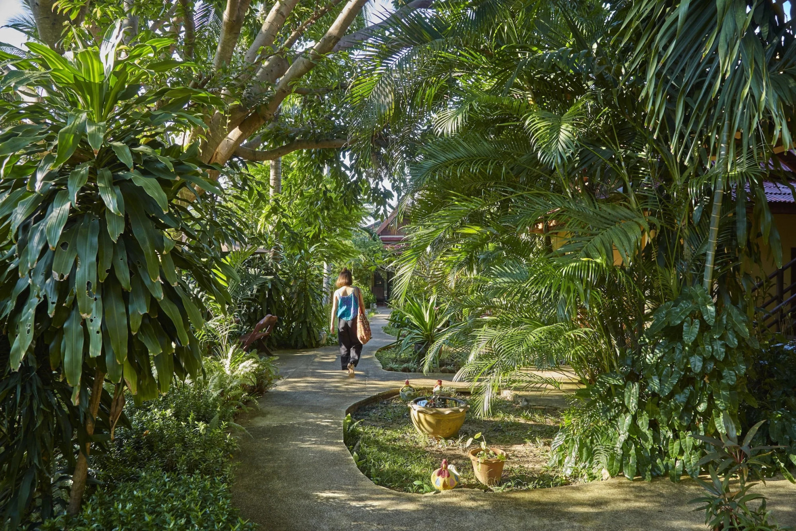 Natural Wing Health Spa and Resort