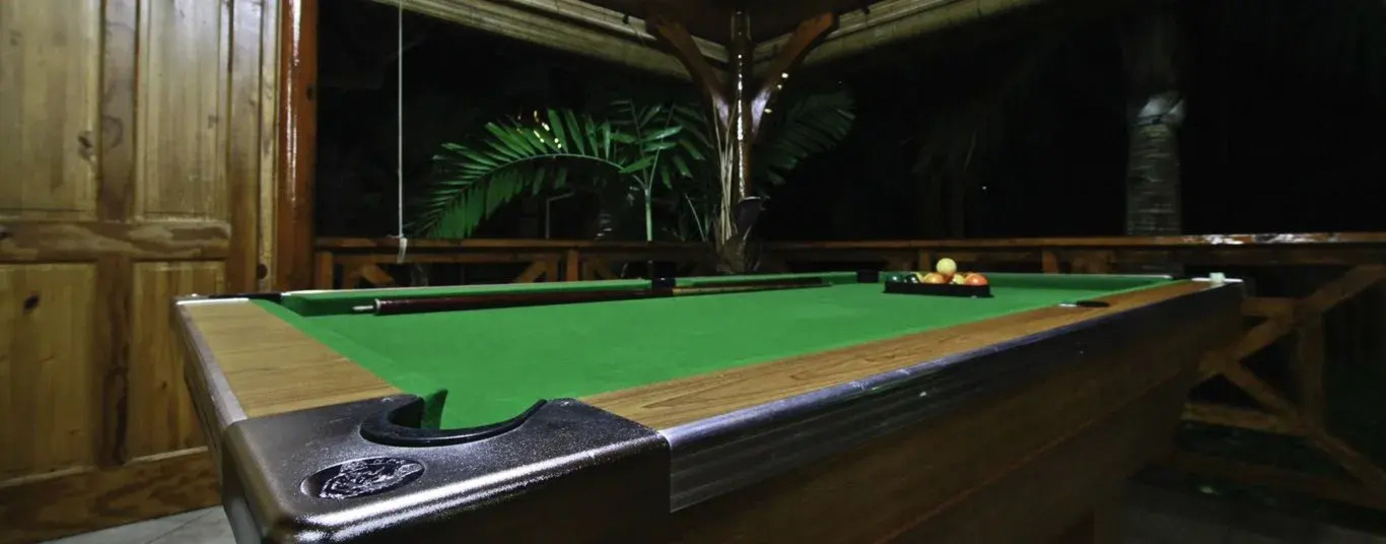 Le Jardin Des Palmes