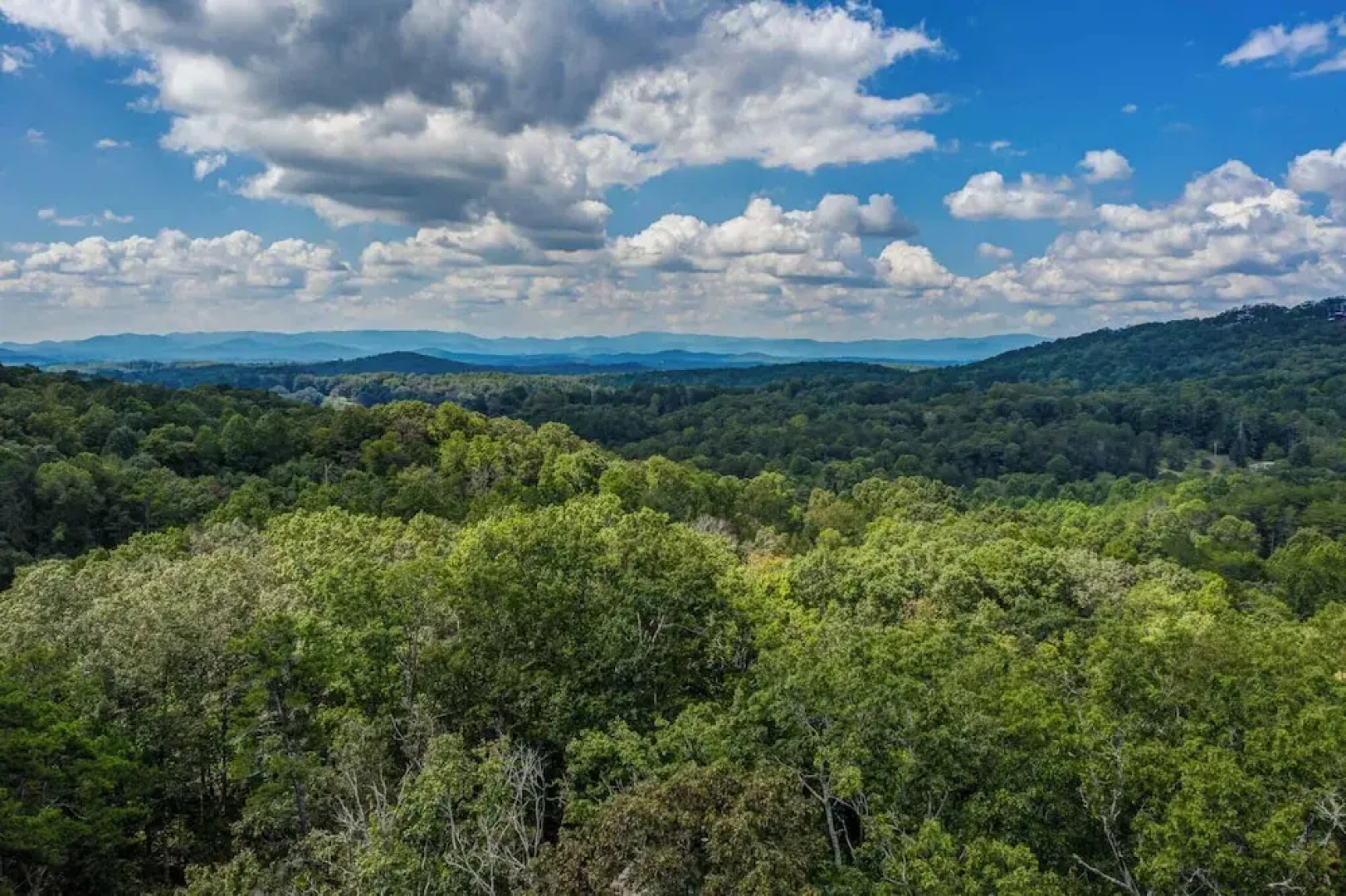 Gorgeous & Secluded 3 BDR Cabin in Mineral Bluff!