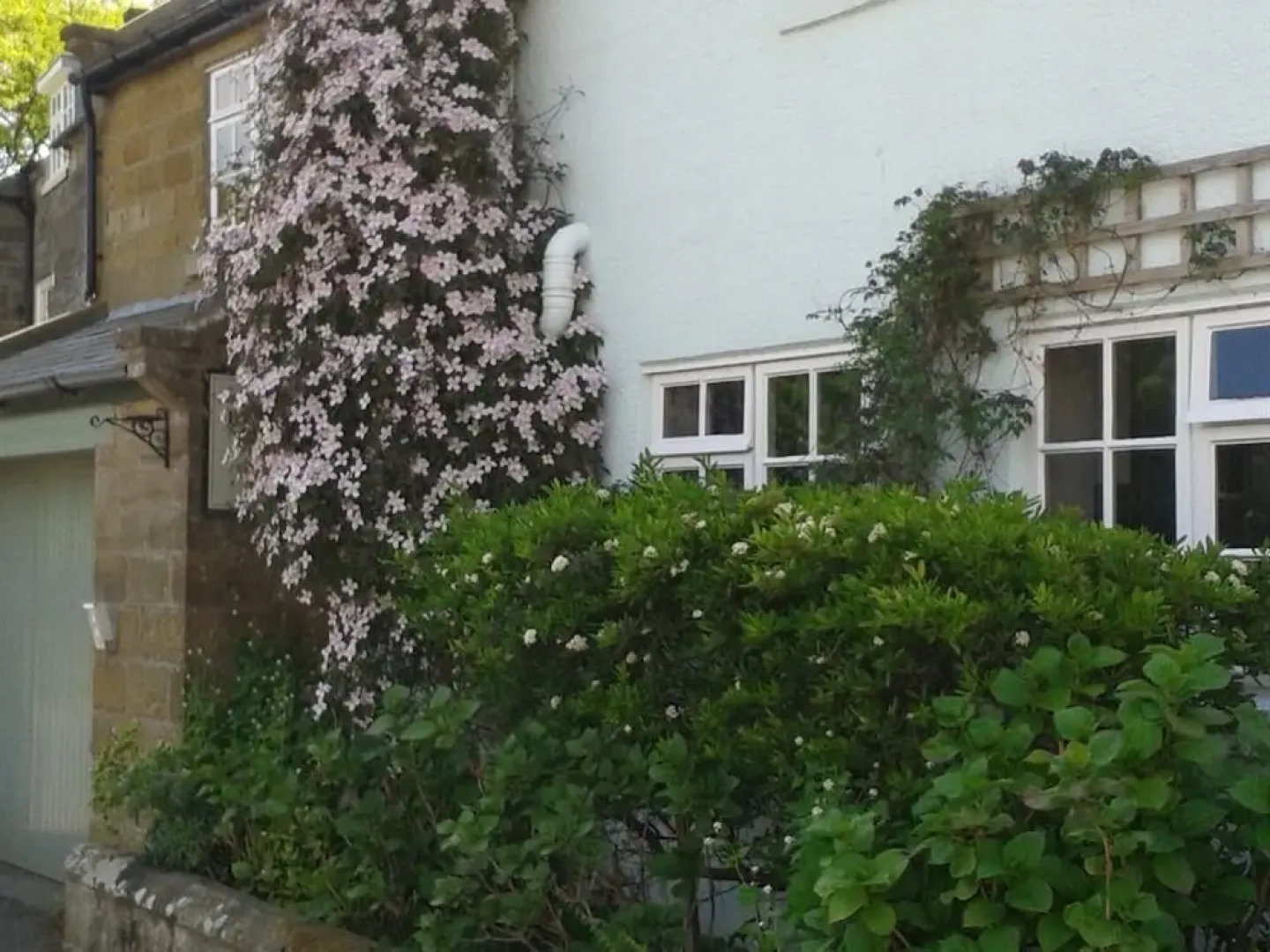 Thorpe Green House Vegetarian Bed and Breakfast