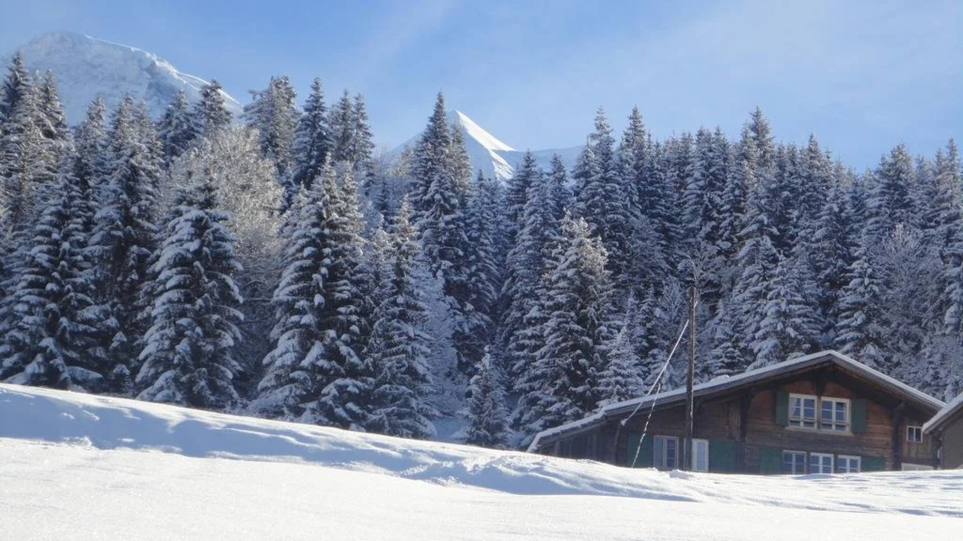 Chalet Aelpli Bed and Breakfast