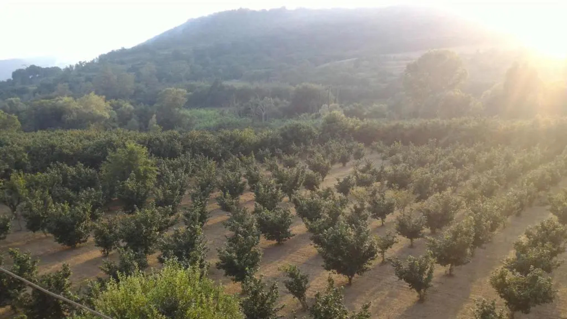 B&B Giffoni Film Festival