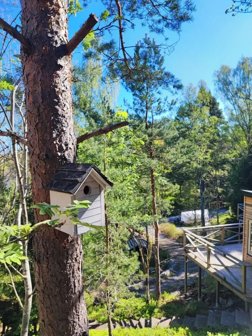 Sea-view Cottage High up in the Trees