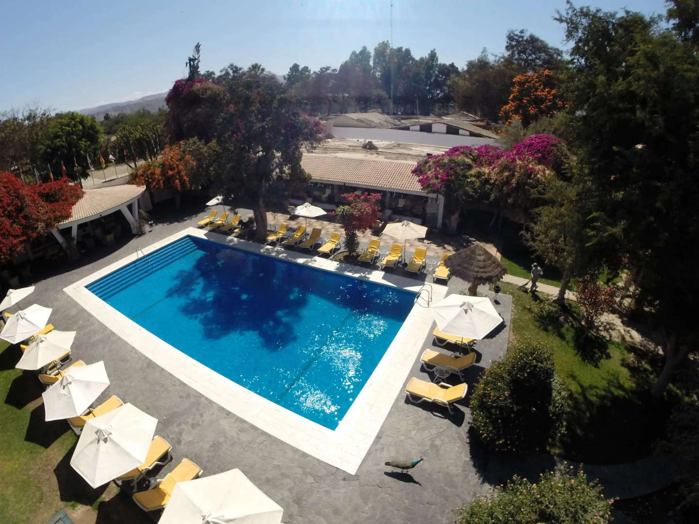 Hotel Hacienda Majoro