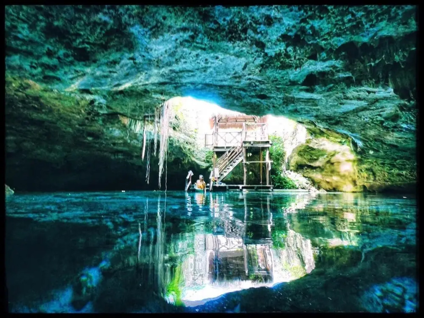 Homing Bird Apartments