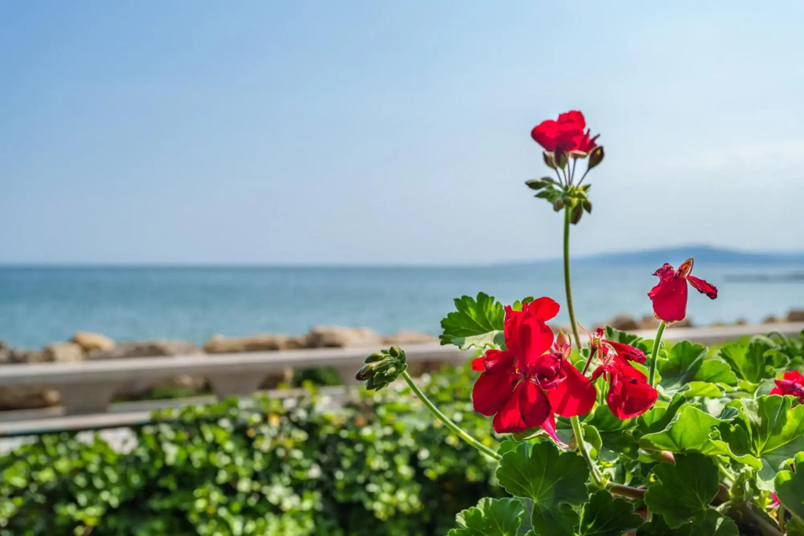 Apartment Poemia, complex Carpe Diem, free parking