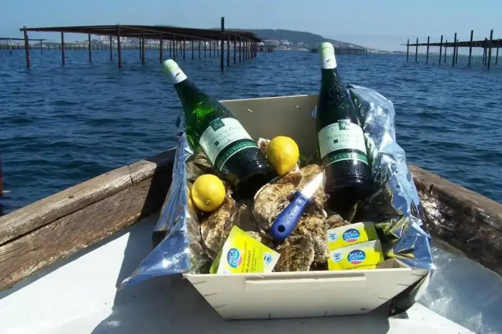 Apartment With 2 Bedrooms in Montbazin, With Shared Pool, Enclosed Garden and Wifi - 15 km From the Beach