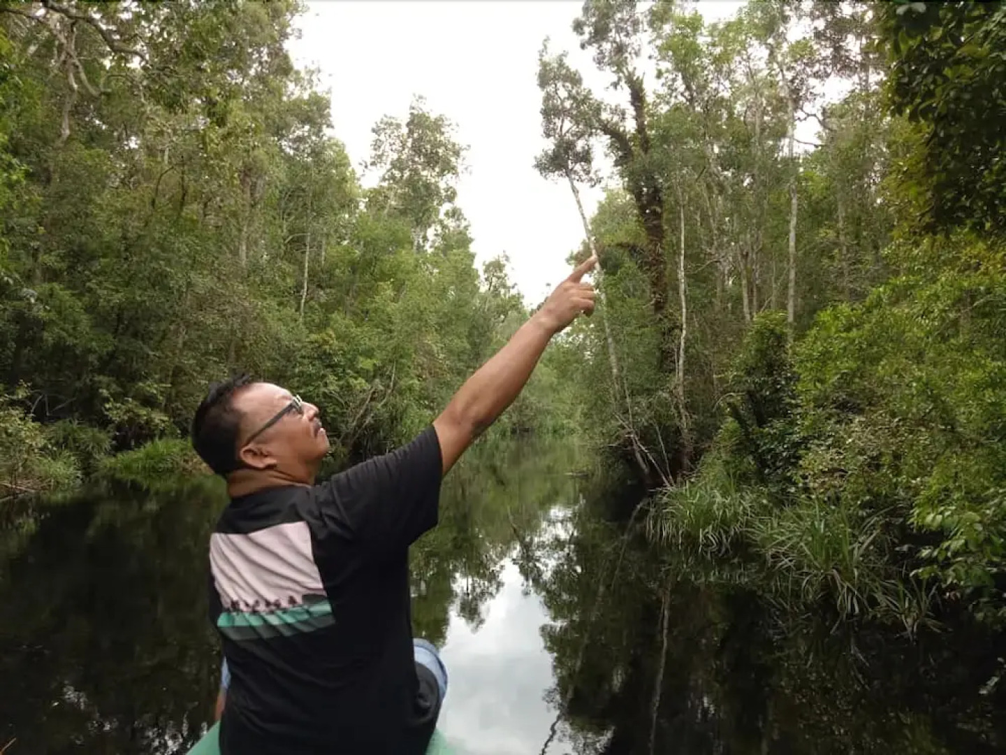 Arut Riverside Orangutan Guest house