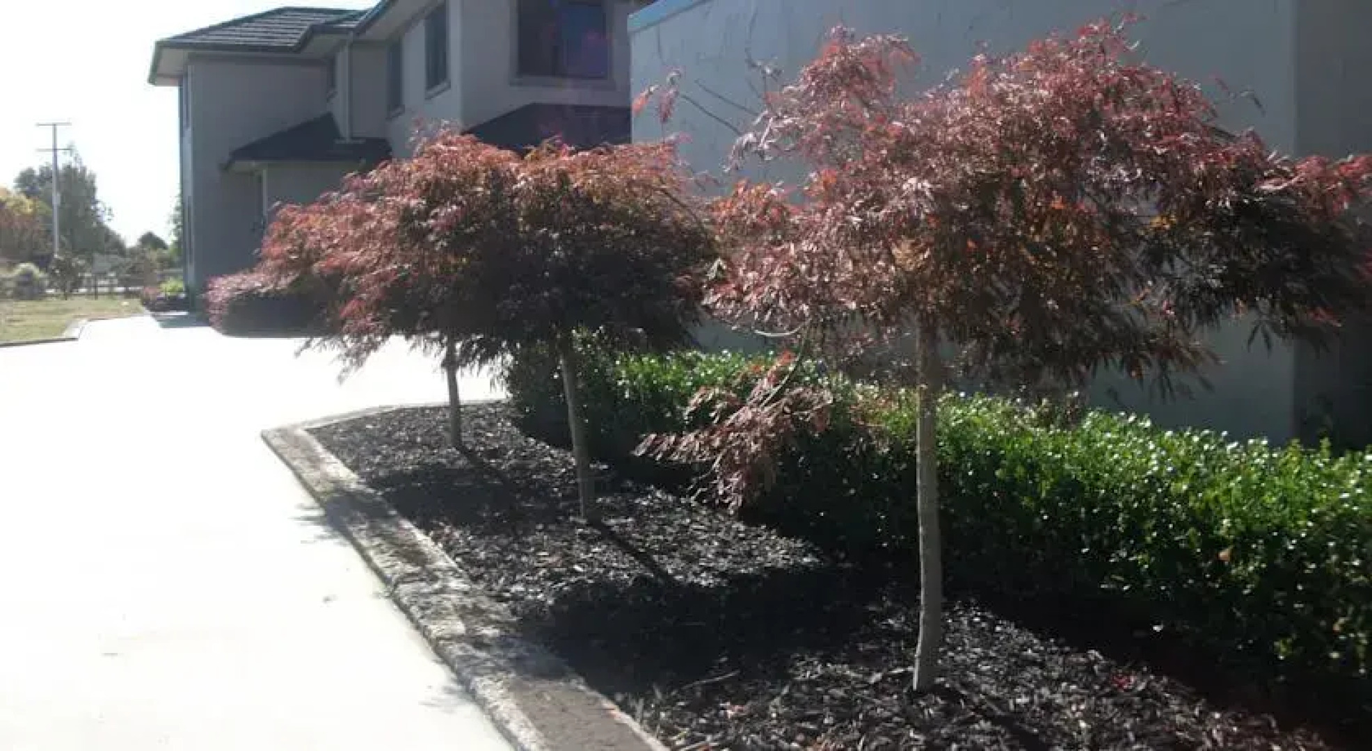 Nourish Bed and Breakfast