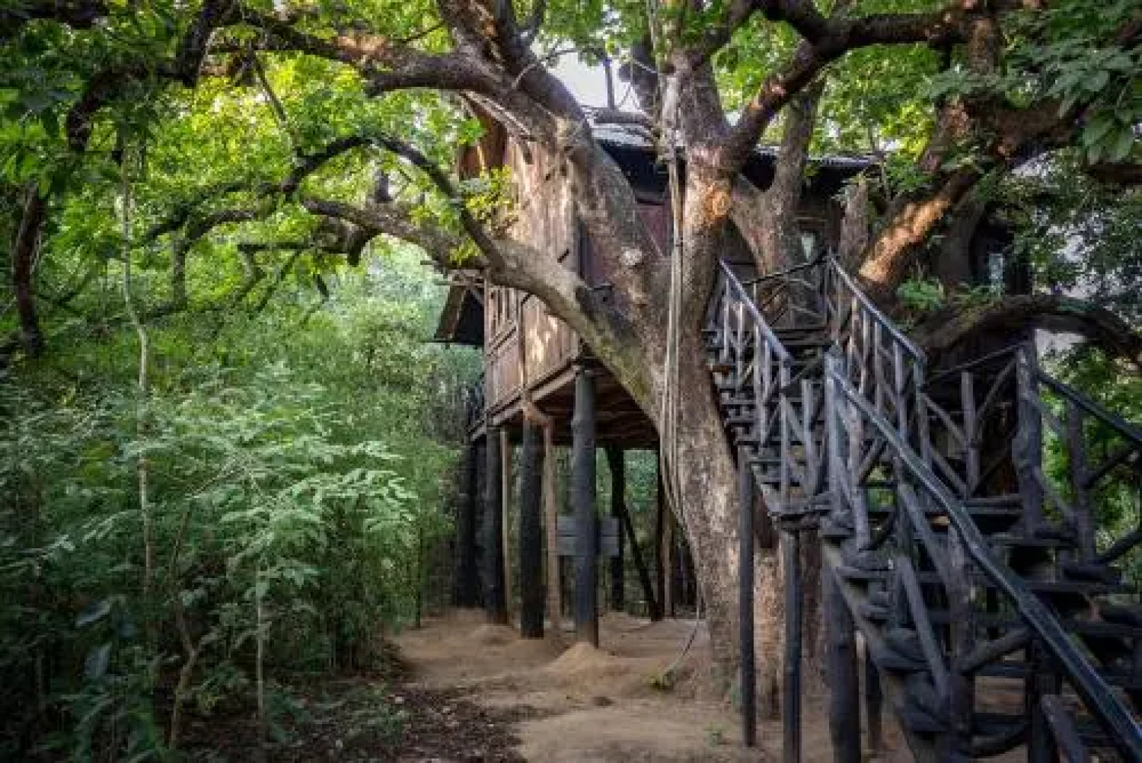 Tree House Hideway Bandhavgarh