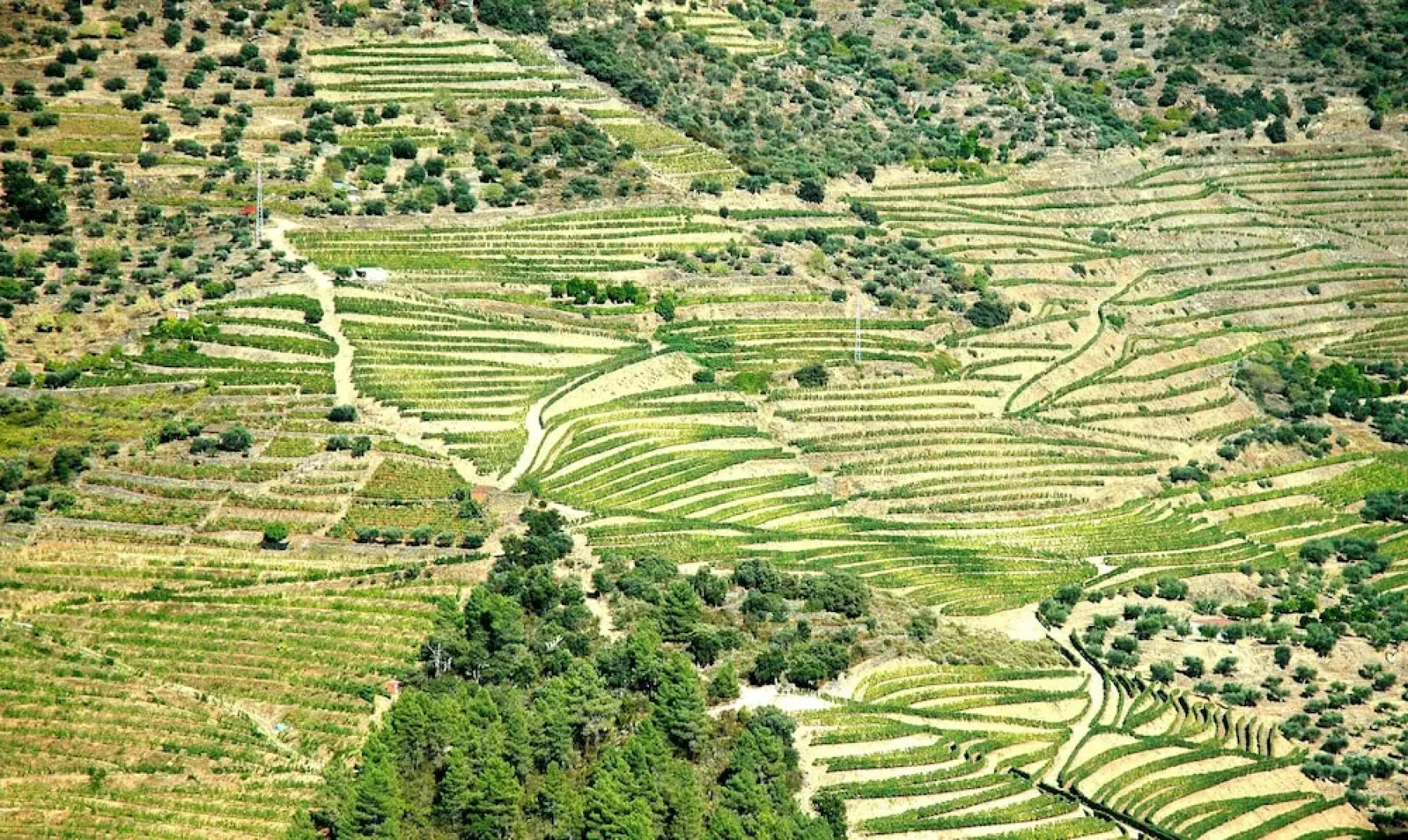 Room in a Farmer House