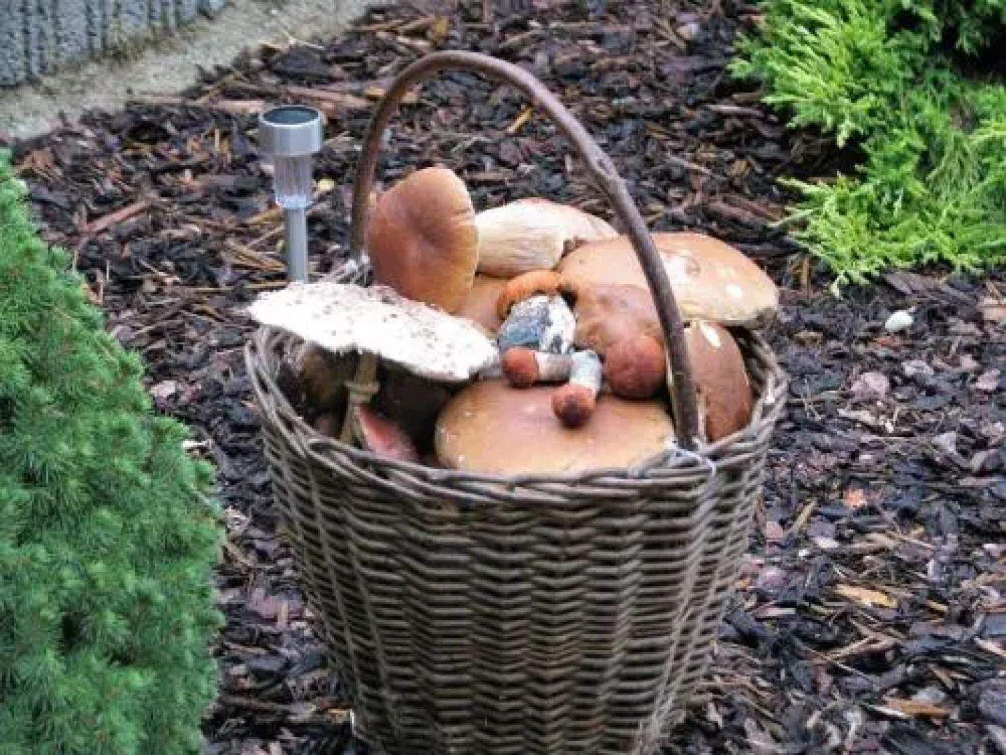 Apartments Lipno Serafin