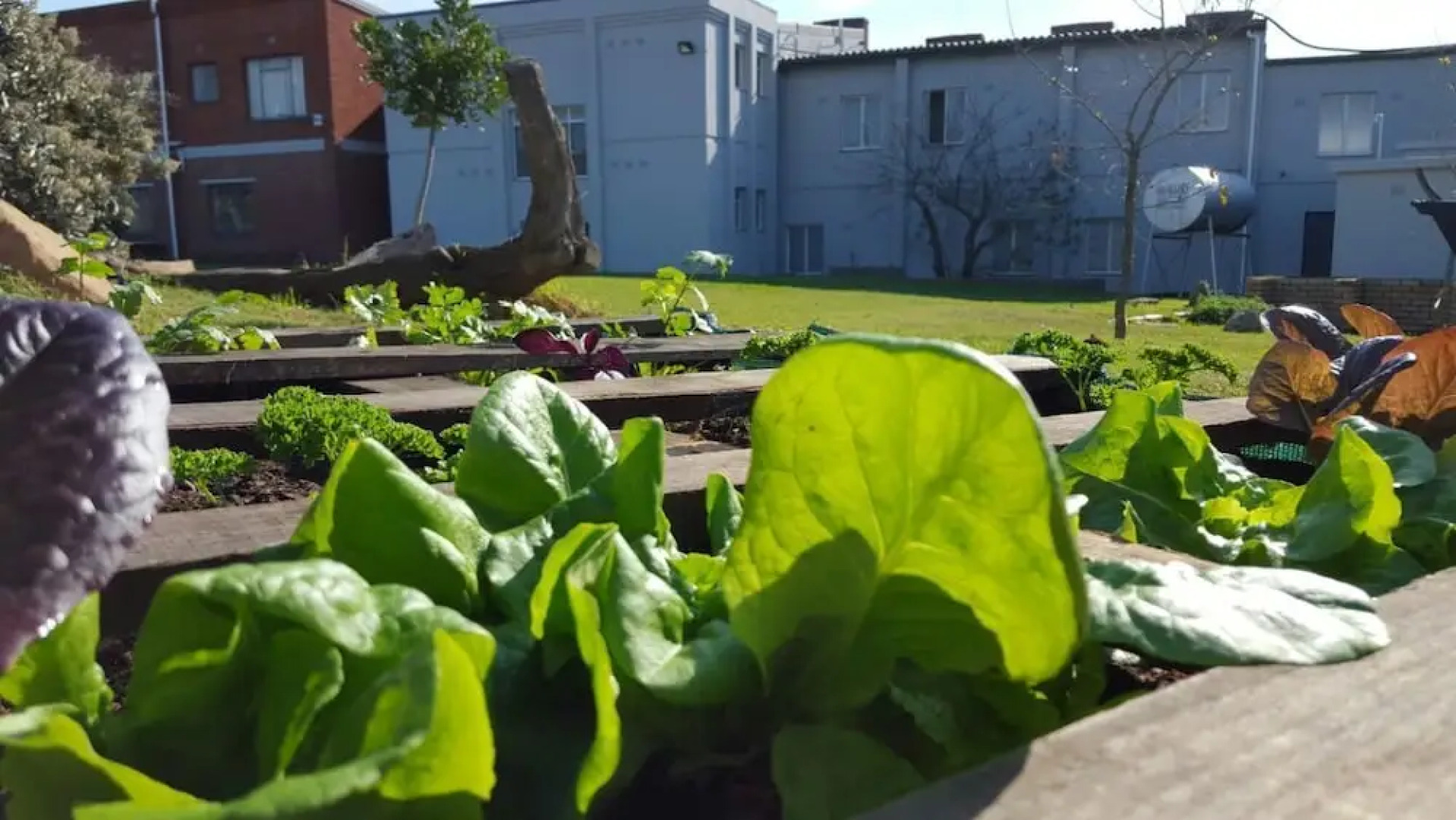 The Backpack Shack - Hostel