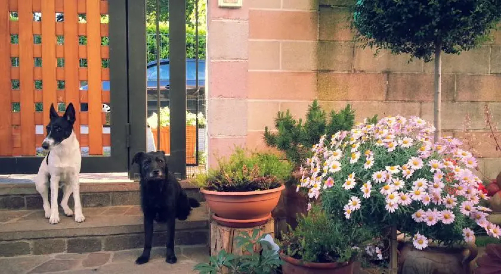 Bed & Breakfast Da Rosy