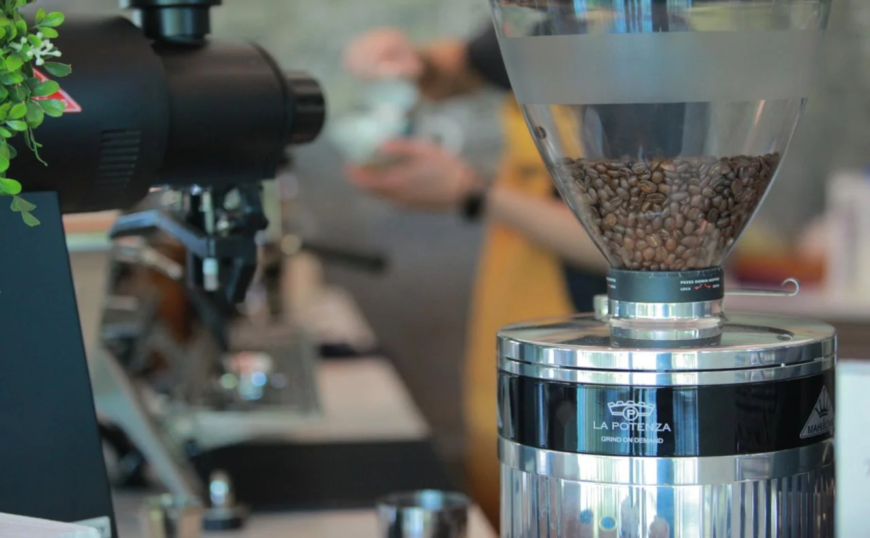 The Buffalo Amphawa (SHA Plus)