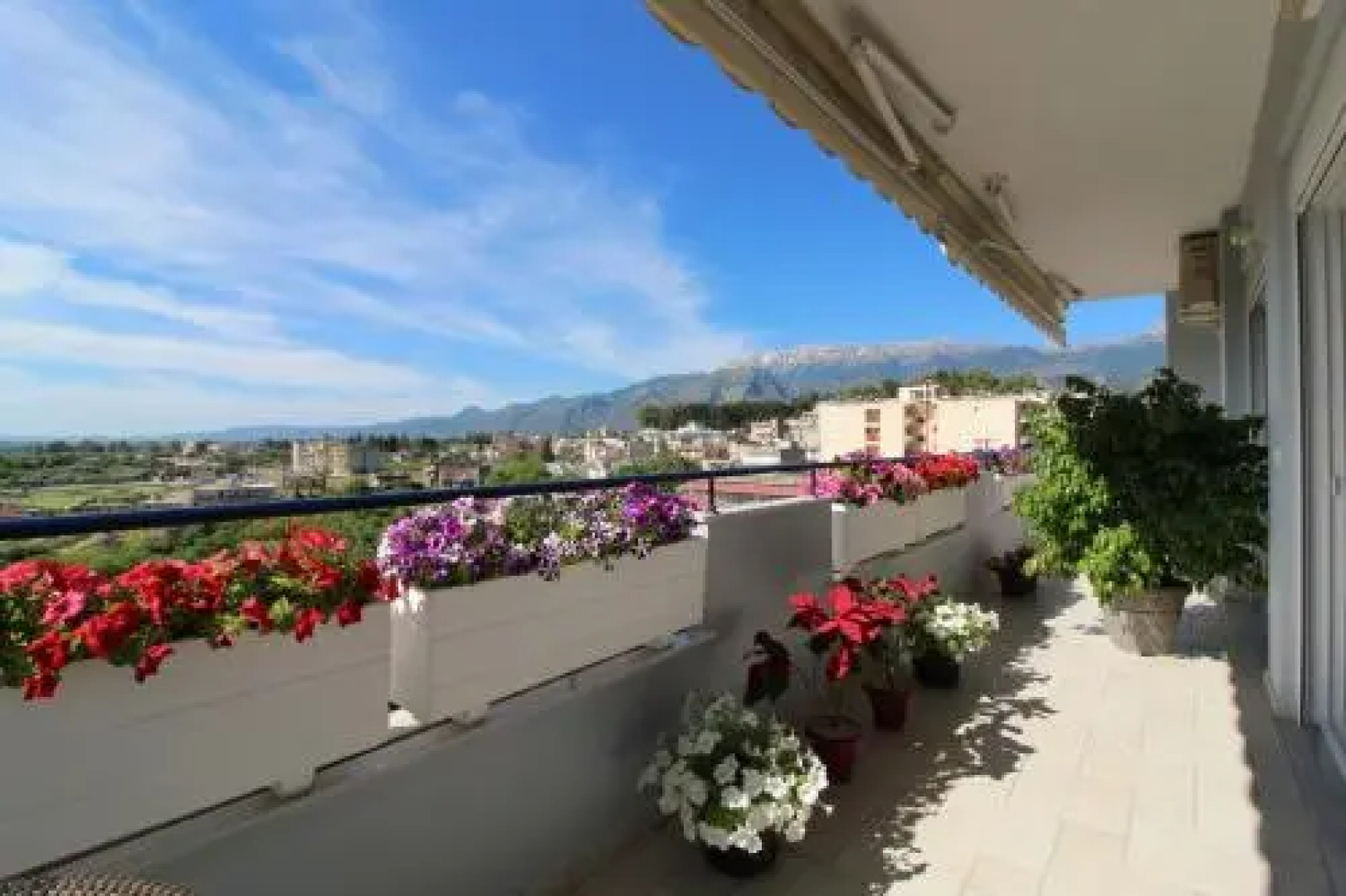 Laconian Collection  Lykourgou 10