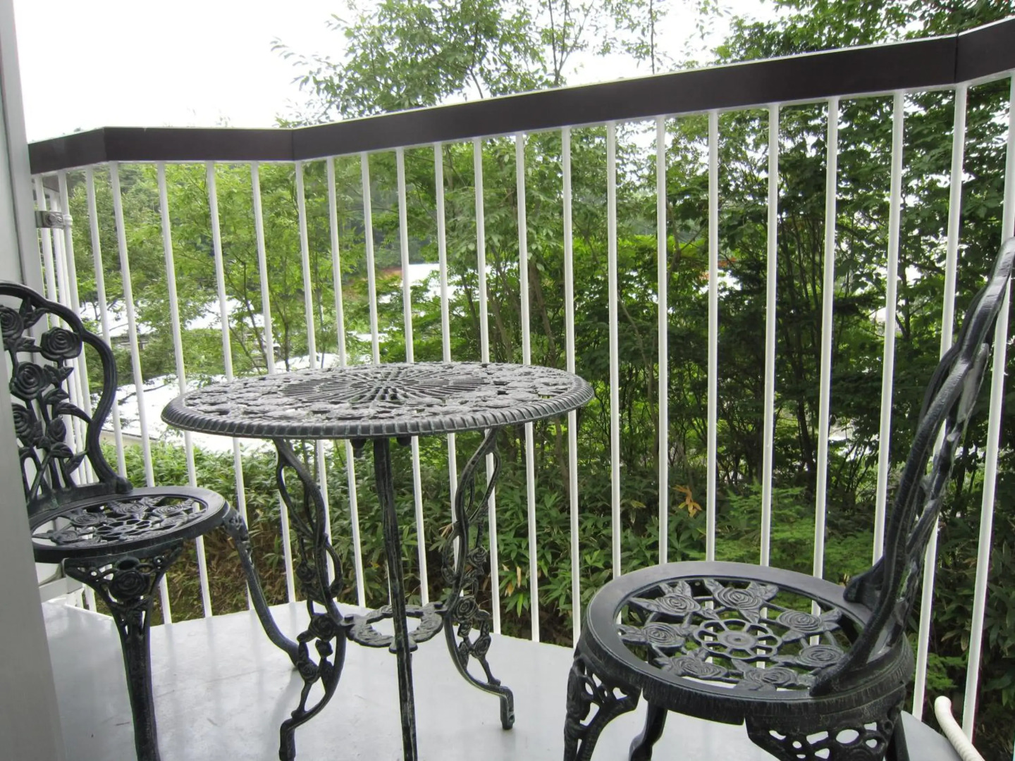 Kusatsu Hot Spa Hotel SPAX