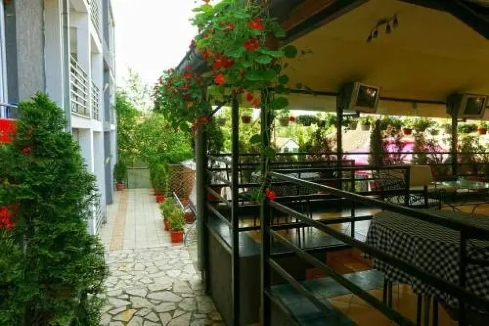 Guest House Vila Petra