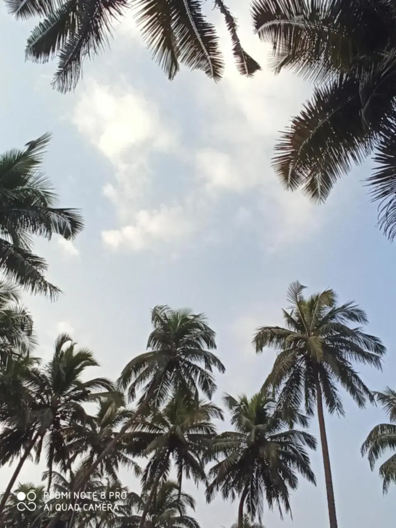 Goroomgo Om Ganesh Naik Cliff Side Guest House Goa