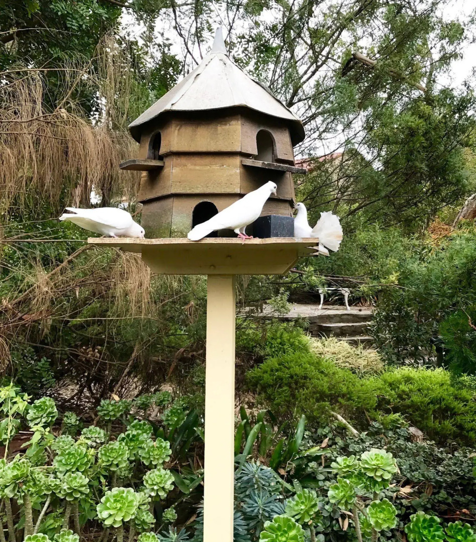 Strathalbyn Gasworks