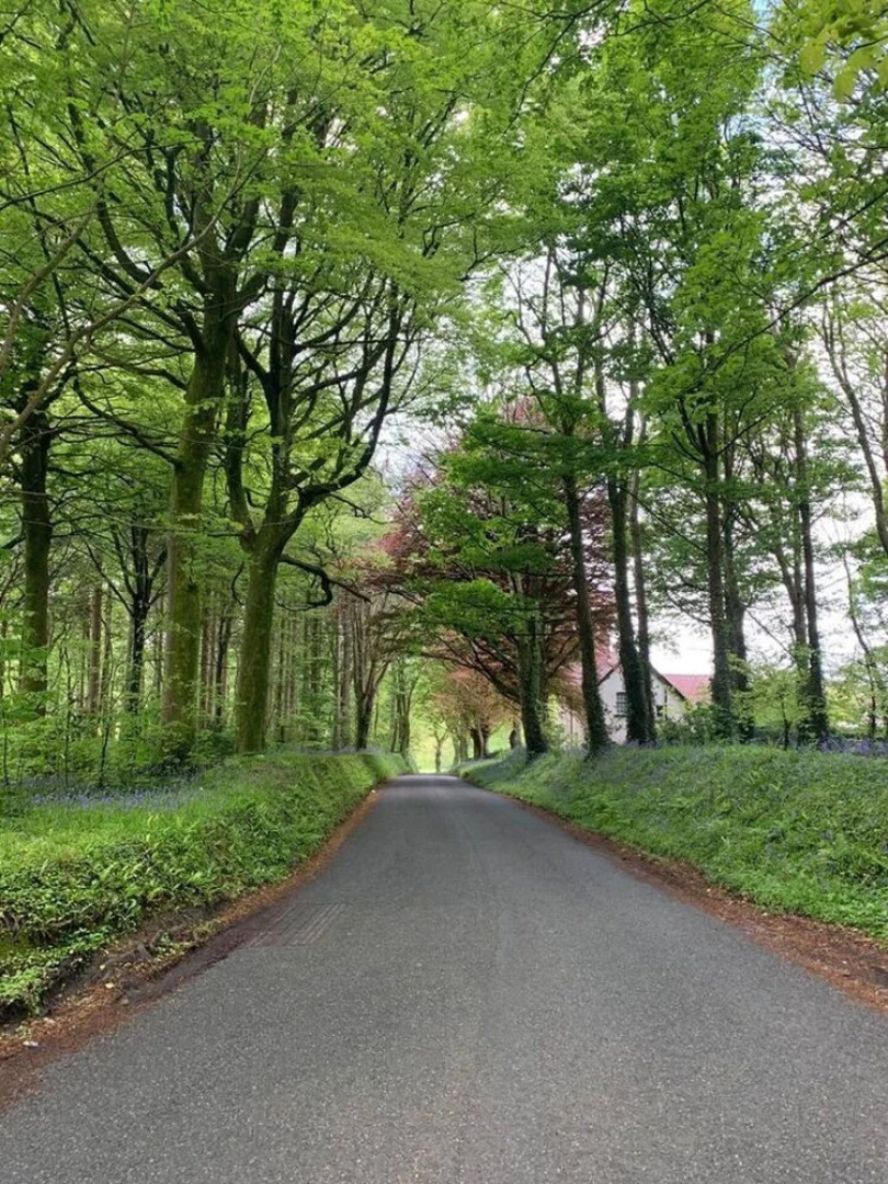 The Chapel 3 Minute Drive to Saundersfoot, Wales