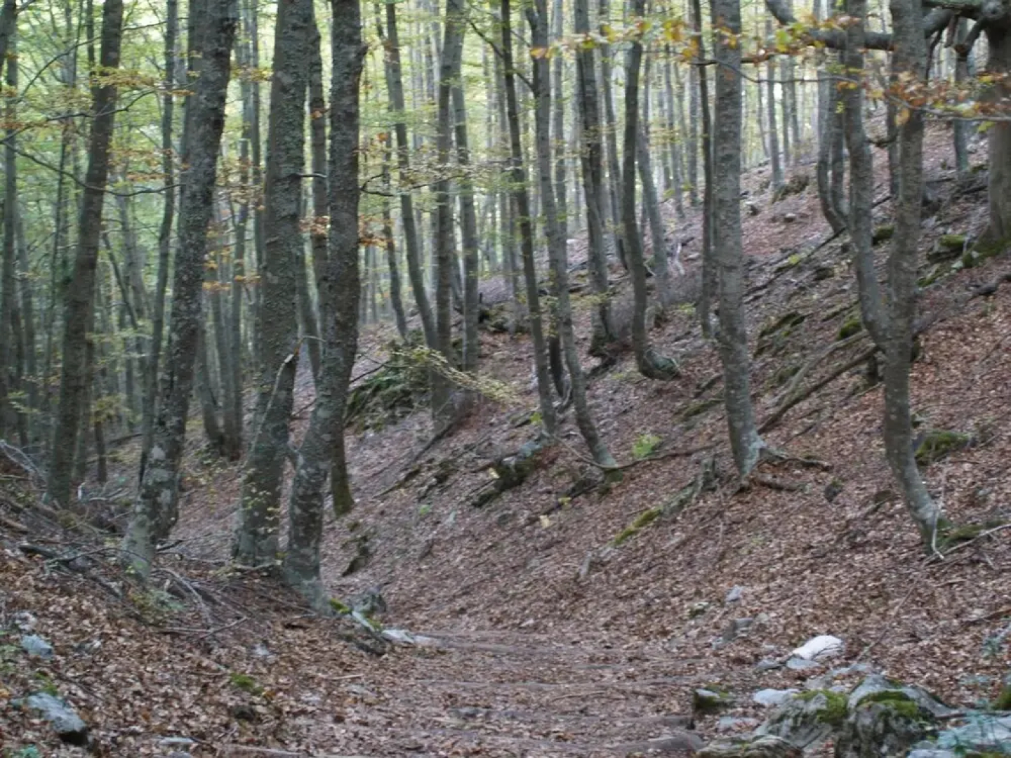 Hotel Rural Piedra Abierta