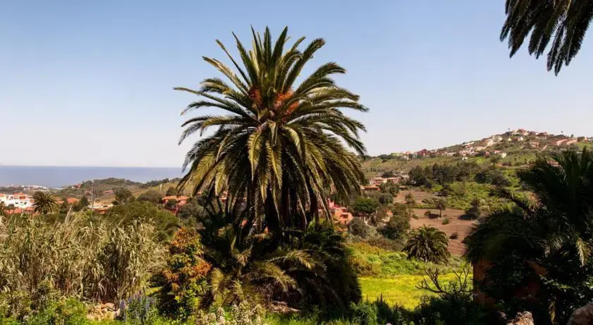 La Atalaya Rural Cottage