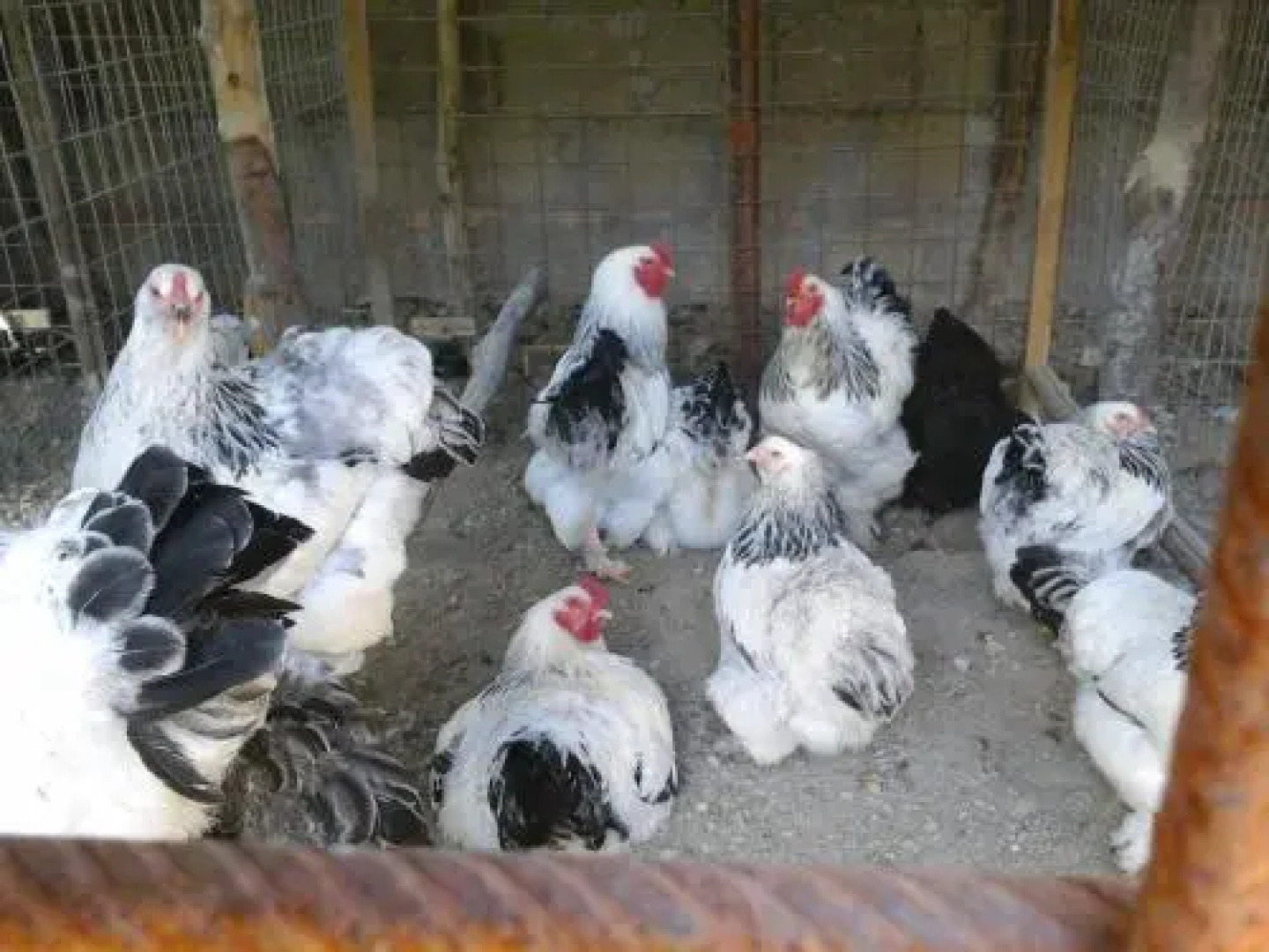 Agriturismo La Chiana