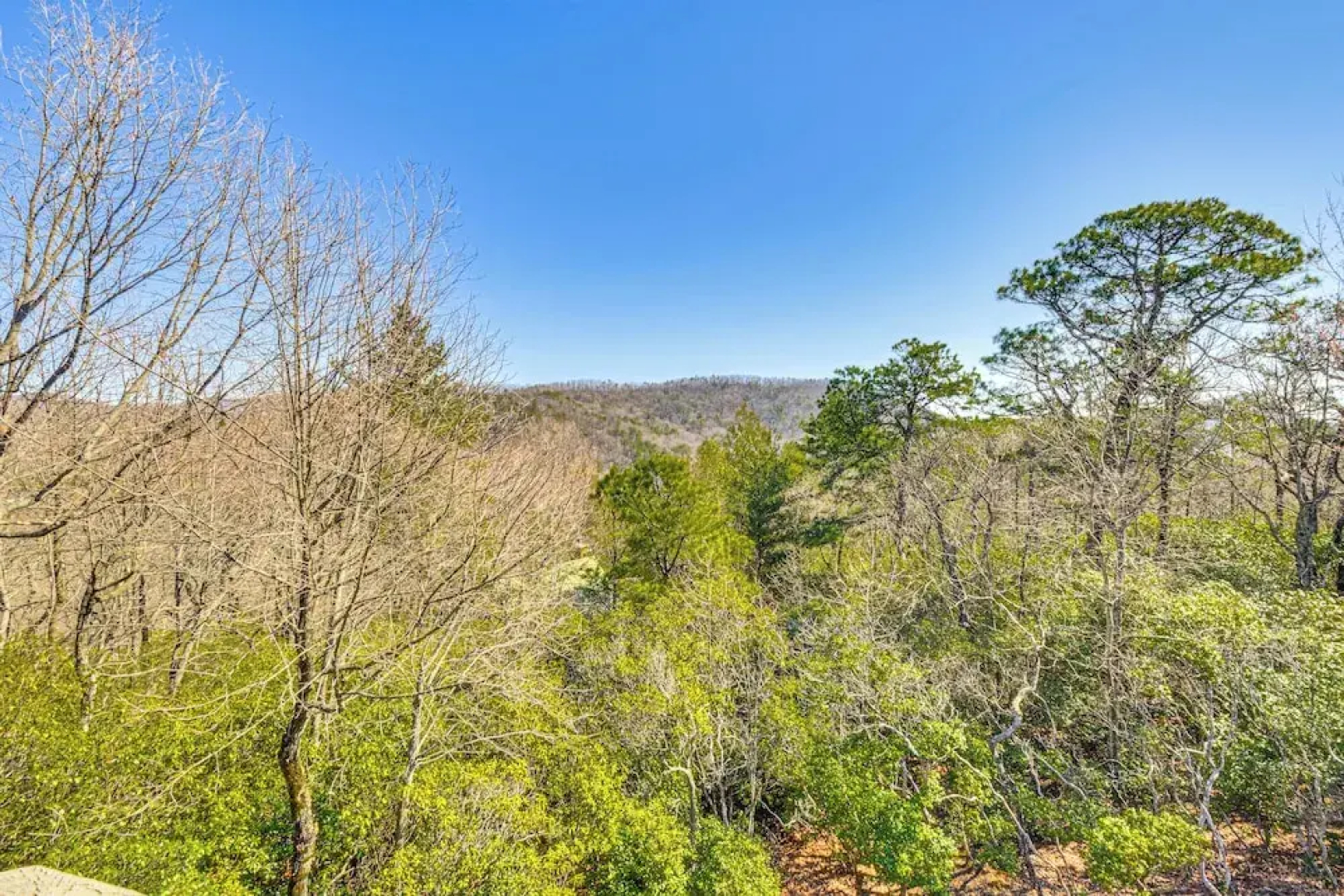 3 Mi to Dtwn Clayton: Cabin w/ Trail Access!