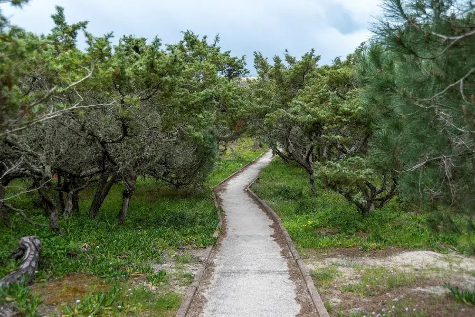 Villa Margherita 2 Bedrooms Apartment in Sorso