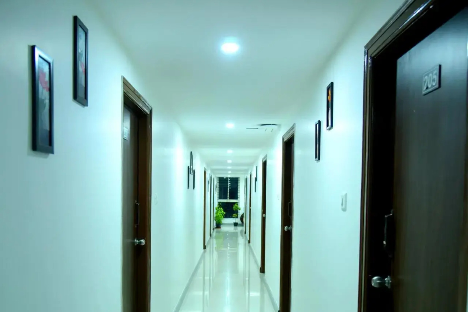 Housefinch Residency