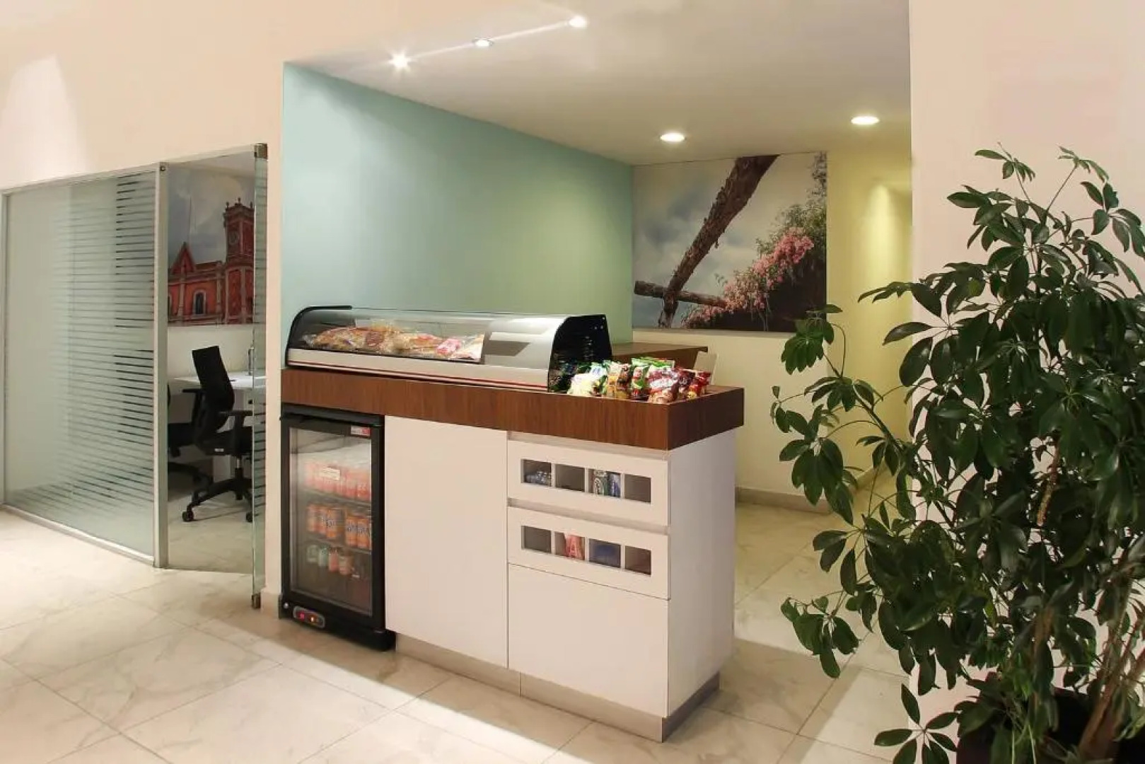 One Querétaro Plaza Galerías