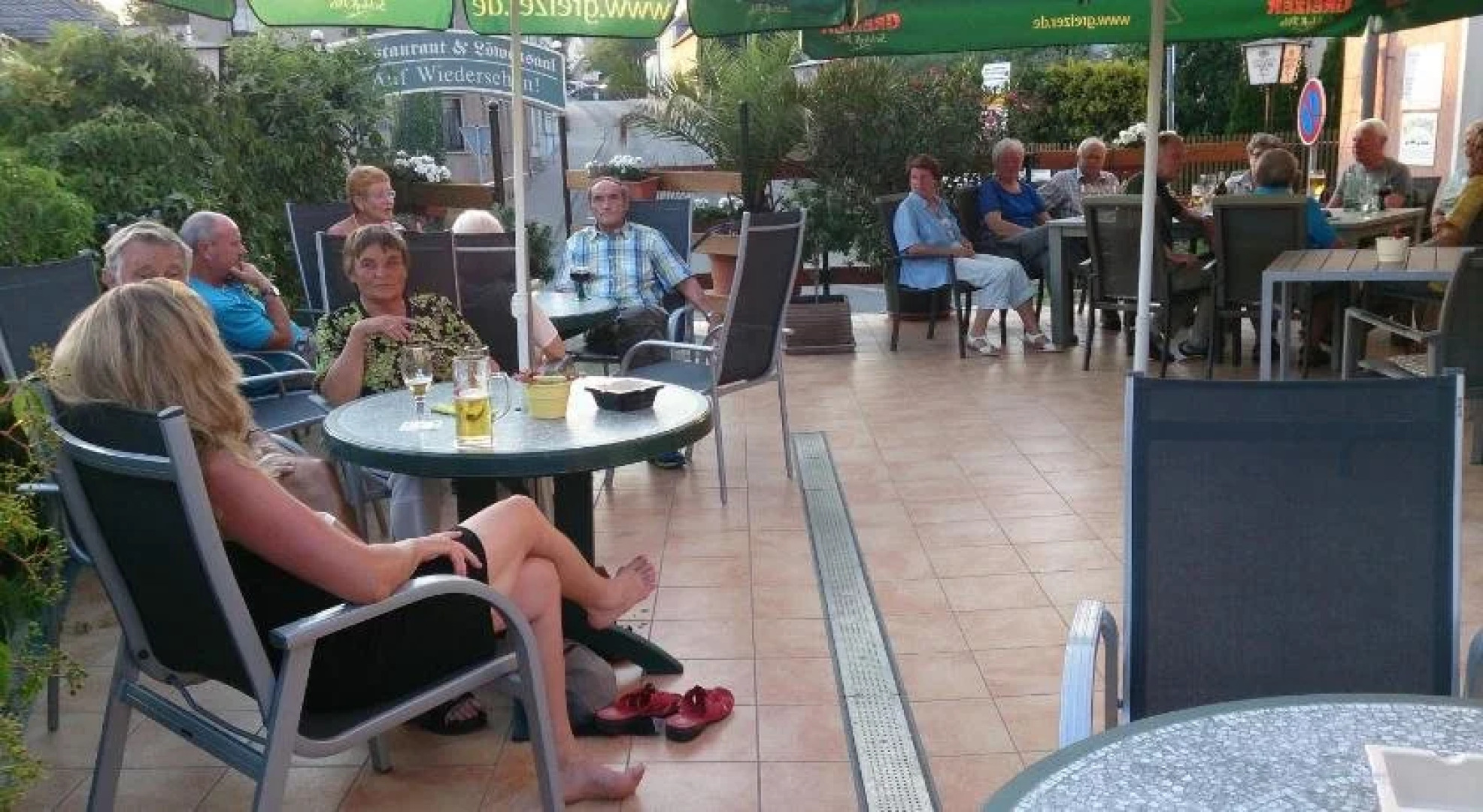 Goldener Löwe Triebes