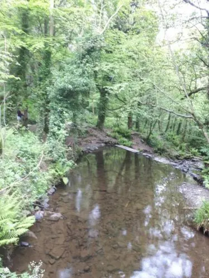 Foleys Bar & Restaurant